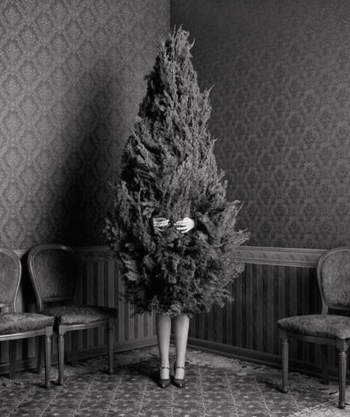 geof kern christmas tree